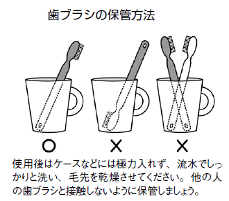 歯ブラシはどう保存してますか？　～間違った保存は雑菌のすみか！～