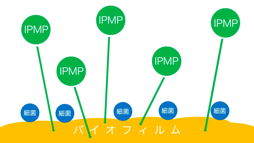 まずは普段の歯磨き粉でバイオフィルムをやっつけよう！　～IPMP入り歯磨き粉～