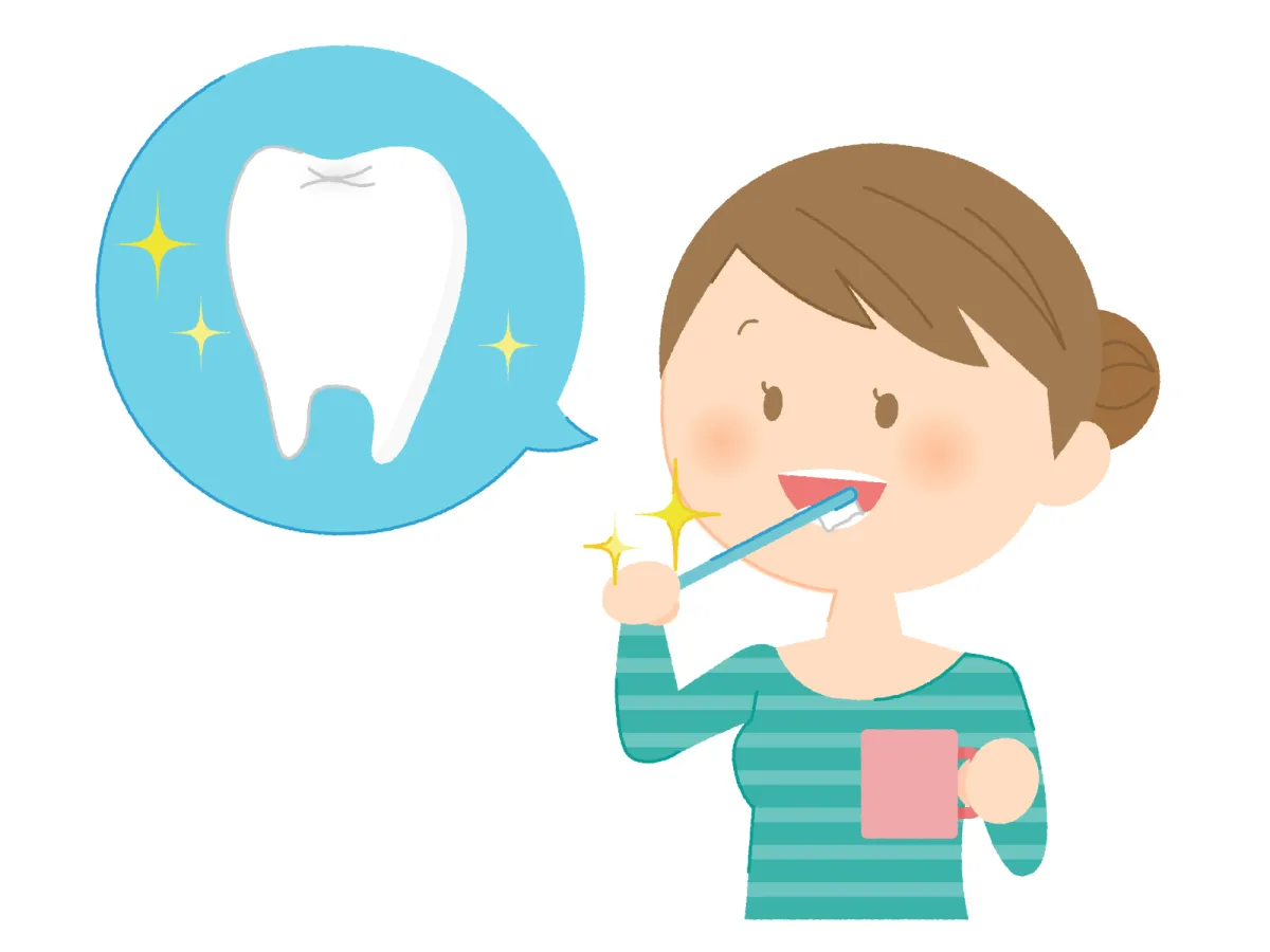日頃の歯磨きについて　　～歯みがきは回数や頻度ではなく「質」が重要～