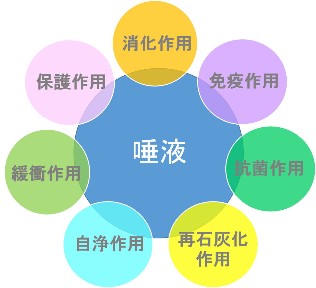 口呼吸はいろいろデメリットがある！　　その②歯や歯茎の病気になりやすい・口臭の原因となる