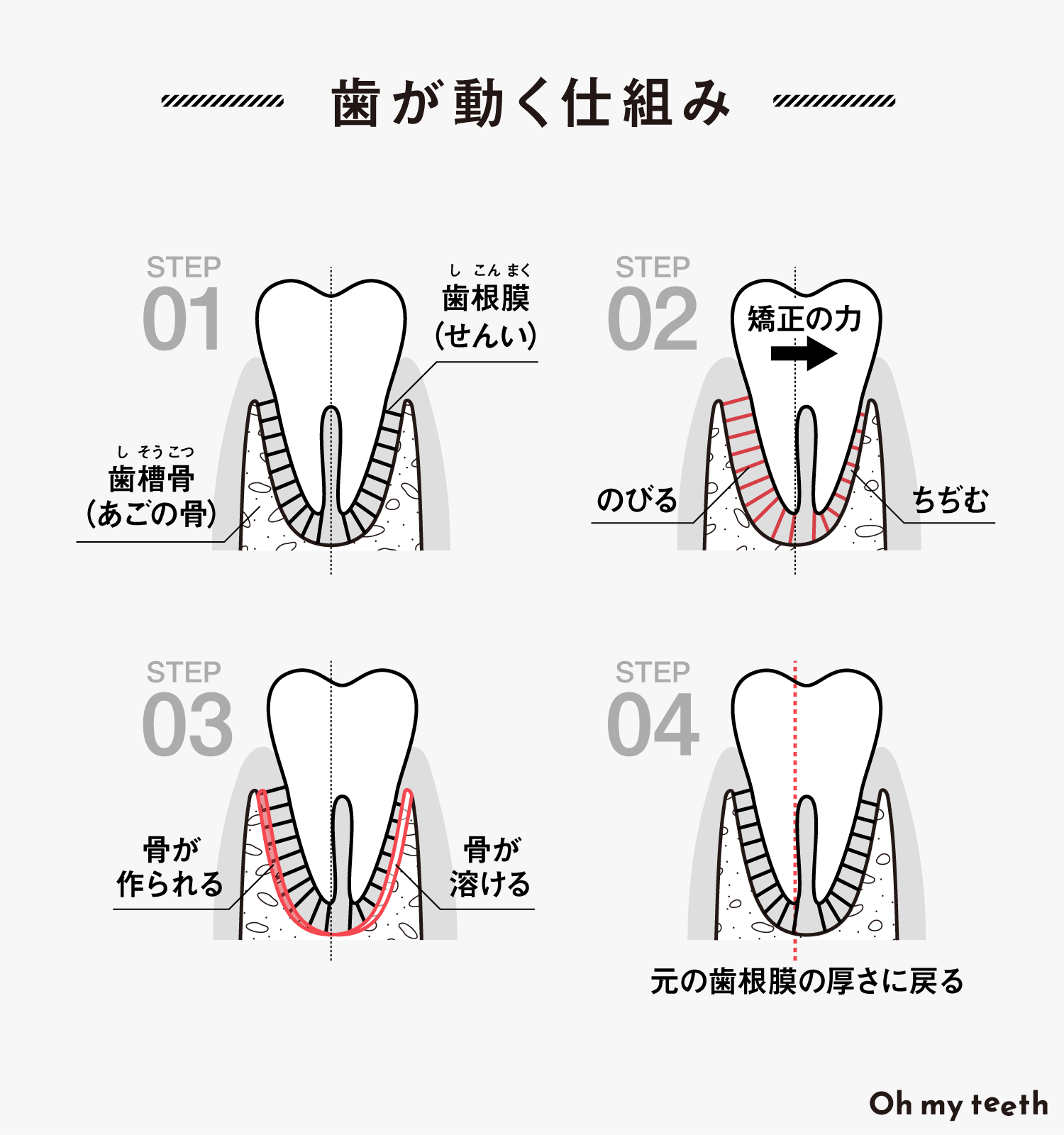 マウスピース矯正でどうして歯が動くの？