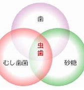 虫歯になりやすい人、なりにくい人。今は虫歯菌検査があります！